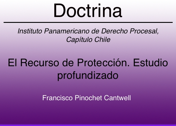 El recurso de protección - Francisco Pinochet Cantwell